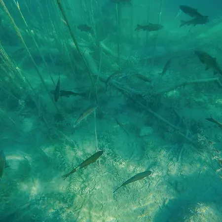 Two-bedroom In * Kijevo