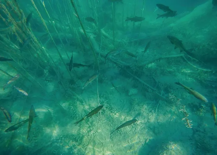 Two-bedroom In * Kijevo